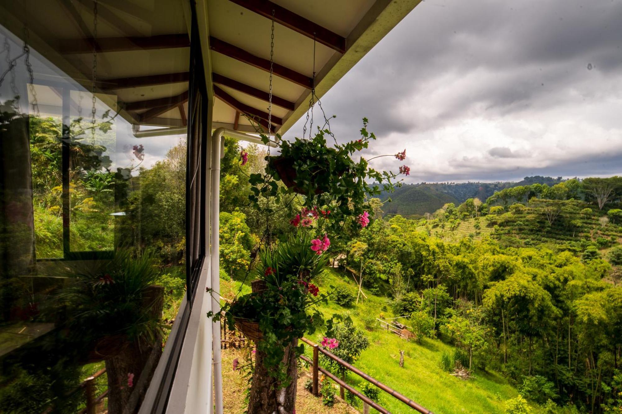 Eco Hotel Finca Los Naranjos Salento Exteriér fotografie